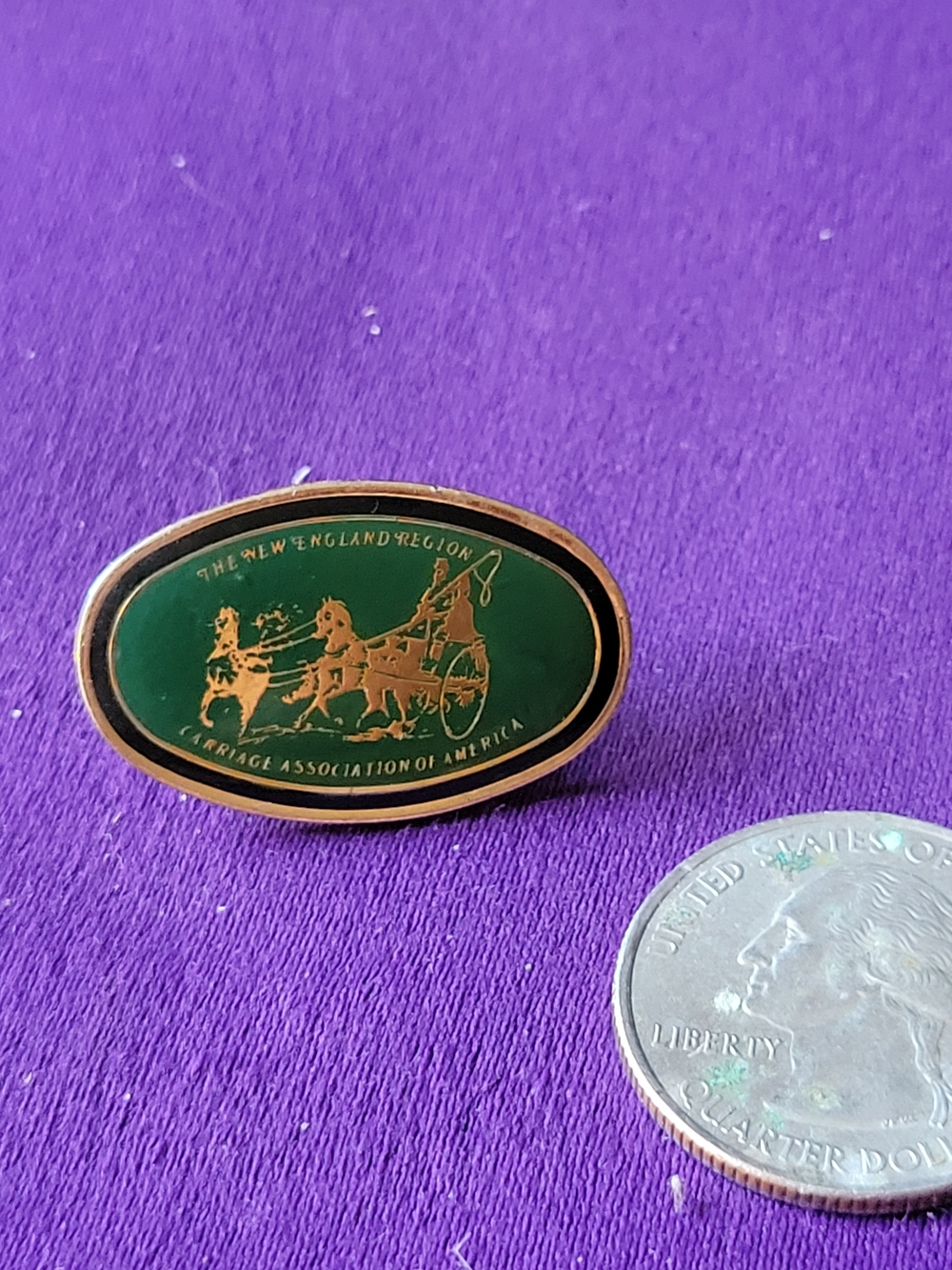Carriage Association Enamel Lapel Pin - Green and Gold